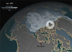 Weekly Animation of Arctic Sea Ice Age with Graph of Ice Age By Area