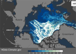 The Arctic's oldest ice is vanishing