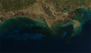 Algae Blooms and Sediment Plumes in the Gulf of Mexico, January 27, 2015 - click to enlarge