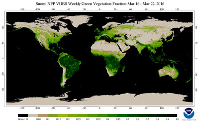 Suomi NPP 7 Day Composite Green Vegetation Fraction, 3/16 to 3/22/2016 - click to enlarge