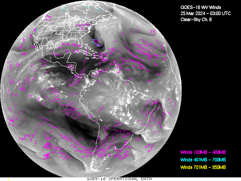 GOES-16 Clear Sky WV Channel 8 Derived Winds - Full Disk - 03/25/2024 - 0300 GMT