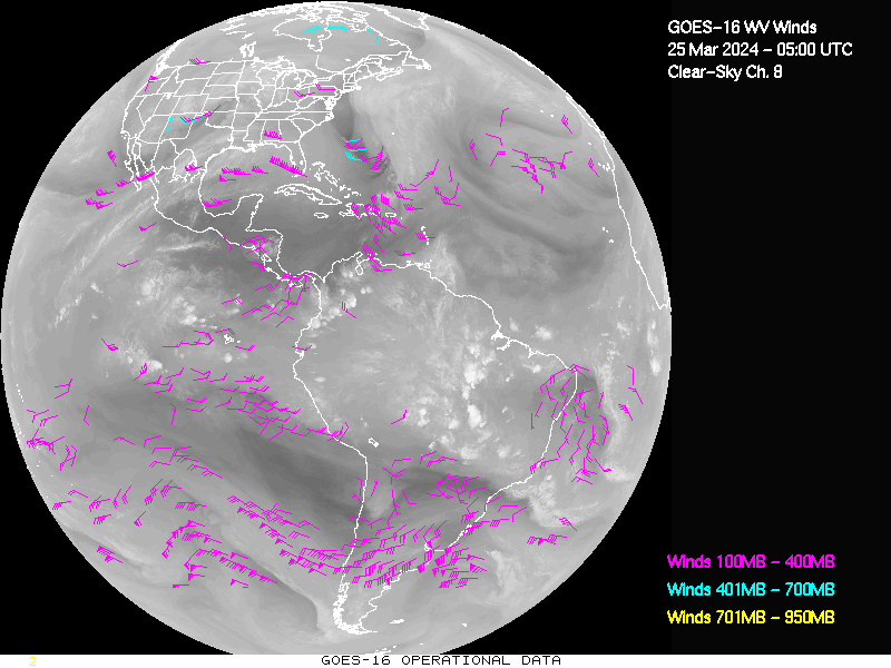 GOES-16 Clear Sky WV Channel 8 Derived Winds - Full Disk - 03/25/2024 - 0500 GMT