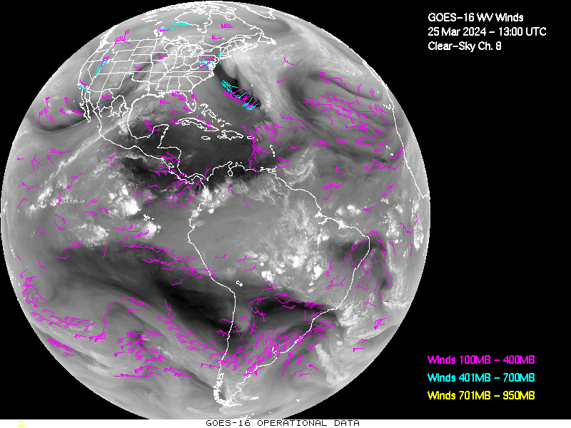 GOES-16 Clear Sky WV Channel 8 Derived Winds - Full Disk - 03/25/2024 - 1300 GMT