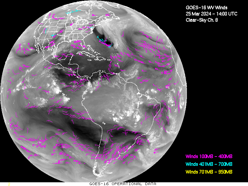 GOES-16 Clear Sky WV Channel 8 Derived Winds - Full Disk - 03/25/2024 - 1400 GMT