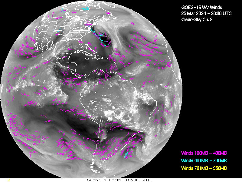 GOES-16 Clear Sky WV Channel 8 Derived Winds - Full Disk - 03/25/2024 - 2000 GMT