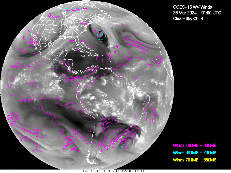 GOES-16 Clear Sky WV Channel 8 Derived Winds - Full Disk - 03/26/2024 - 0100 GMT