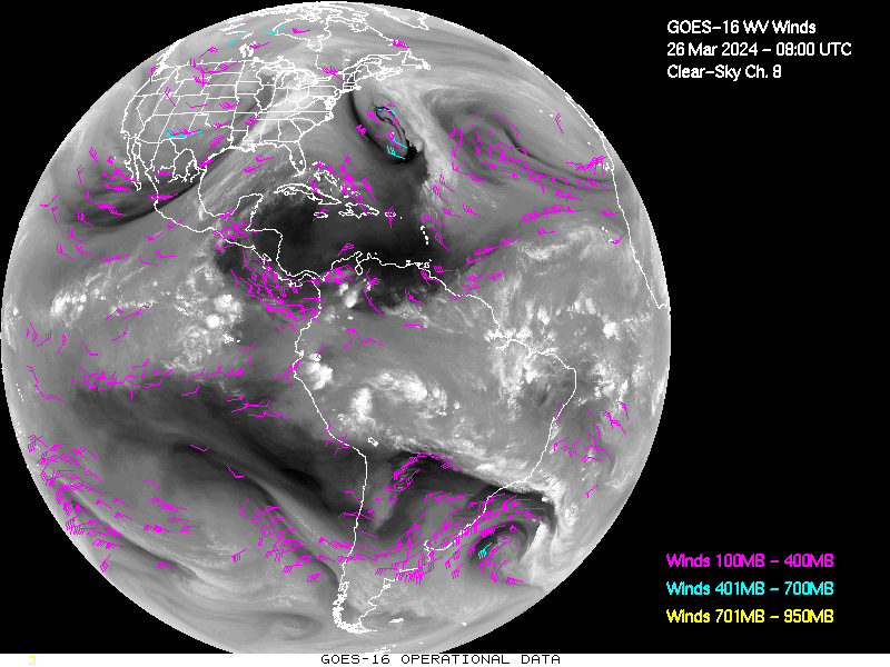 GOES-16 Clear Sky WV Channel 8 Derived Winds - Full Disk - 03/26/2024 - 0800 GMT