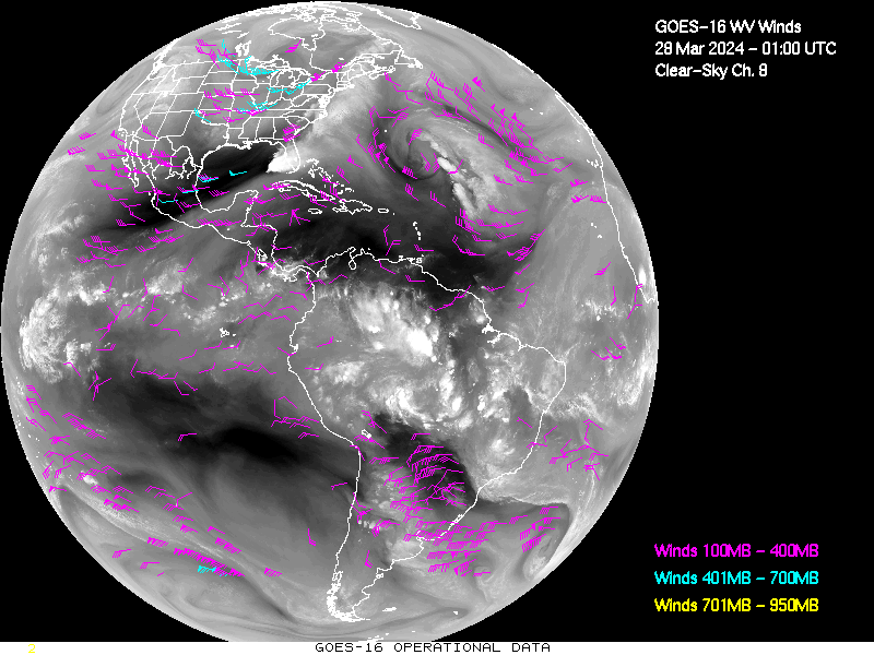 GOES-16 Clear Sky WV Channel 8 Derived Winds - Full Disk - 03/28/2024 - 0100 GMT