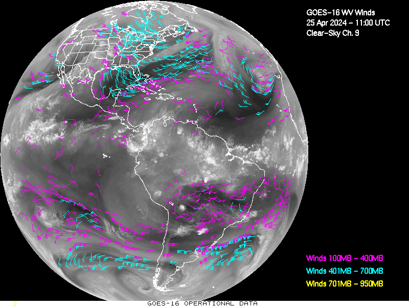 GOES-16 Clear Sky WV Channel 9 Derived Winds - Full Disk - 04/25/2024 - 1100 GMT