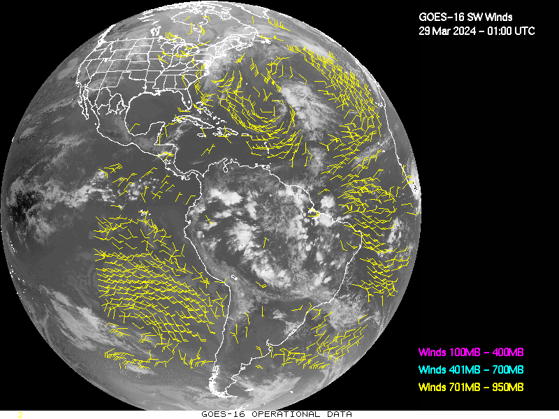 GOES-16 Short Wave Infrared Derived Winds - Full Disk - 03/29/2024 - 0100 GMT