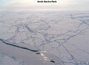 photo: Arctic Sea Ice Pack