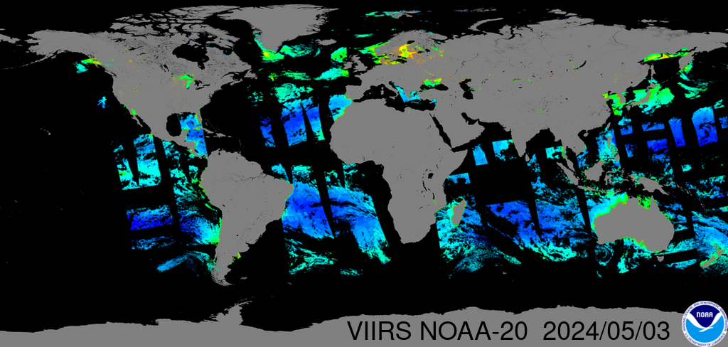 Near-real-time VIIRS-NOAA20 global chlorophyll-a image