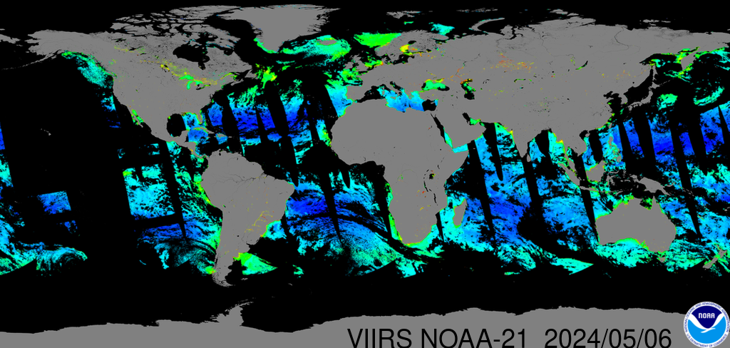 Near-real-time VIIRS-NOAA-21 global chlorophyll-a image