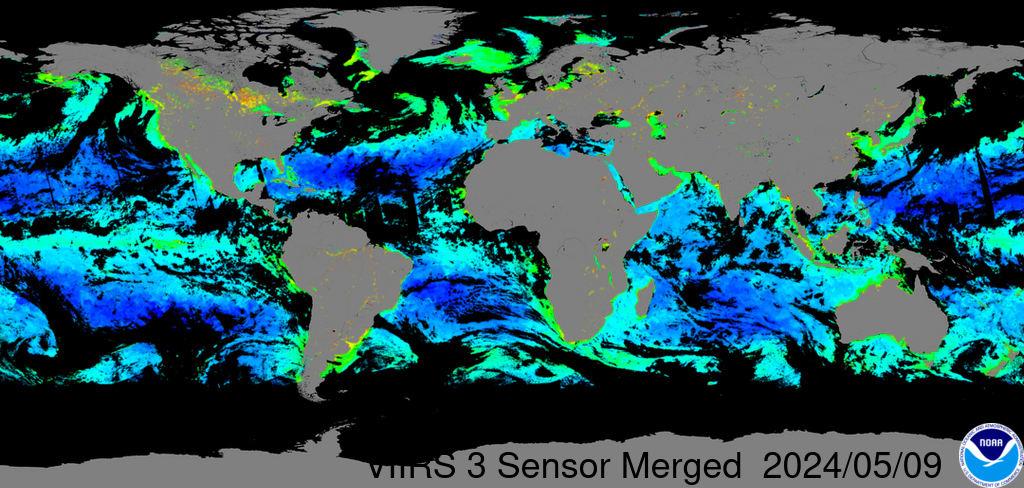Near-real-time VIIRS three-sensor merged global chlorophyll-a image