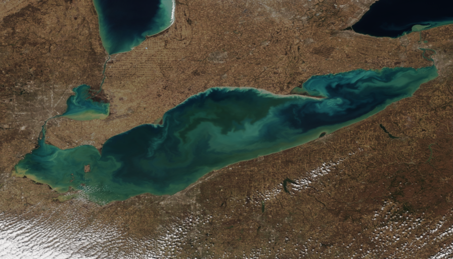 Algae bloom in Lake Erie on March 15, 2020 (NOAA-20)