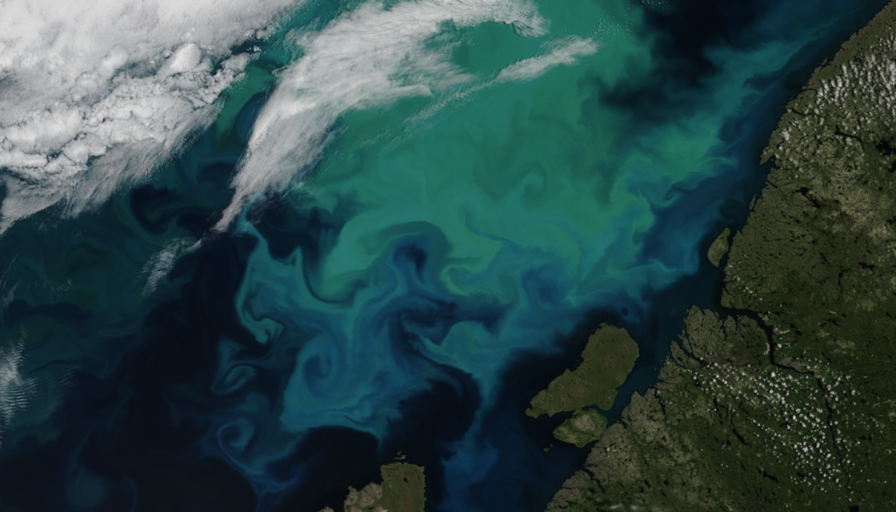 Algae bloom in the Barents Sea on July 15, 2021 (NOAA-20)