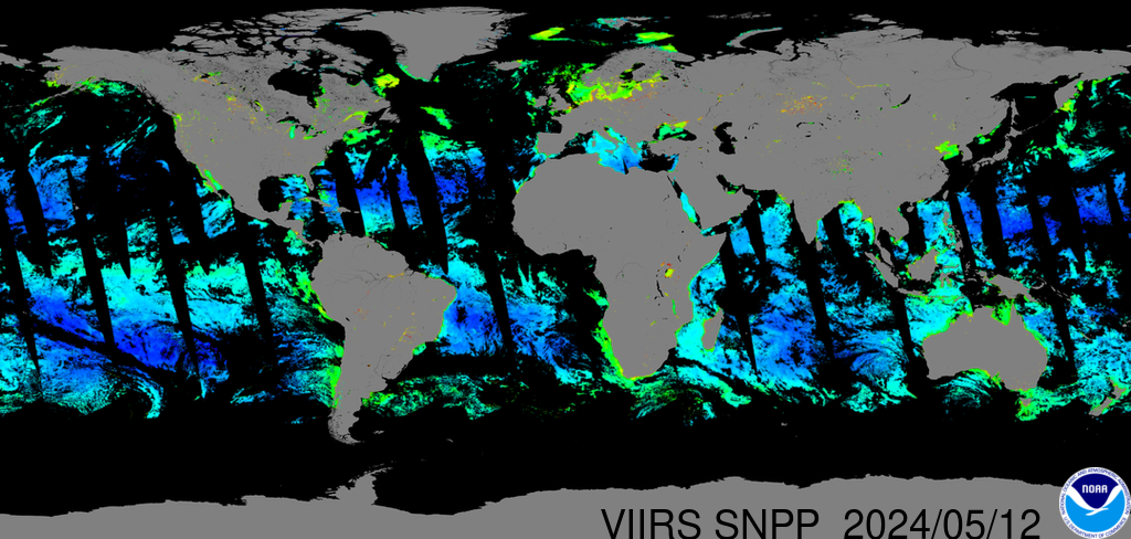 Near-real-time VIIRS-SNPP global chlorophyll-a image
