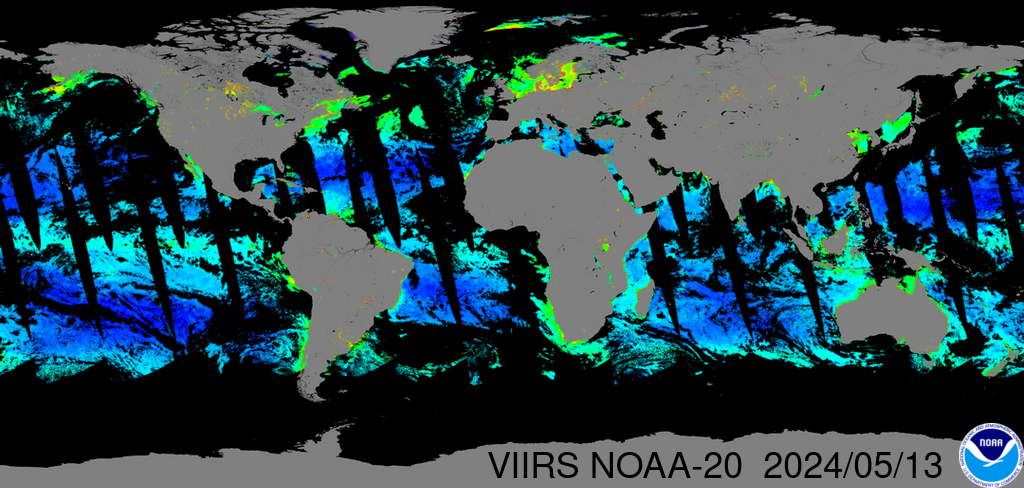 Near-real-time VIIRS-NOAA-20 global chlorophyll-a image