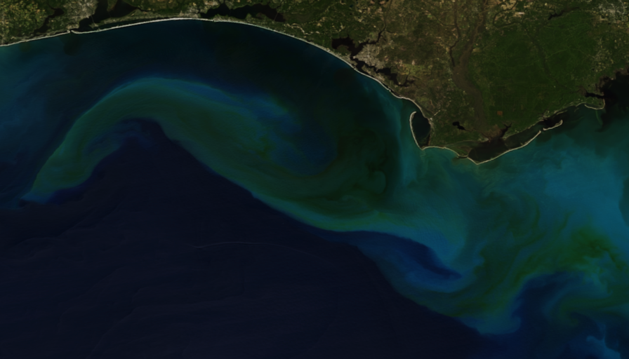 Algae bloom in Gulf of Mexico after Hurricane Michael on October 13, 2018 (NOAA-20)