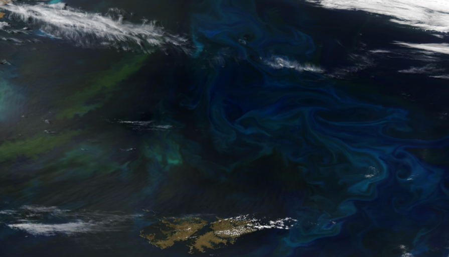 Algae bloom in the South West Atlantic on November 26, 2022 (NOAA-20)