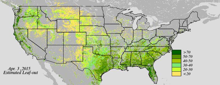 Near Real Time VIIRS NDVI Vegetation Index -Spring Foliage - click to enlarge