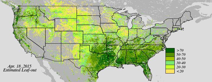 Near Real Time VIIRS NDVI Vegetation Index -Spring Foliage - click to enlarge
