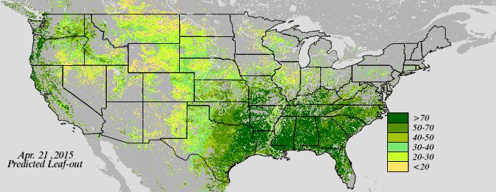 Foliage Phase Prediction - click to enlarge