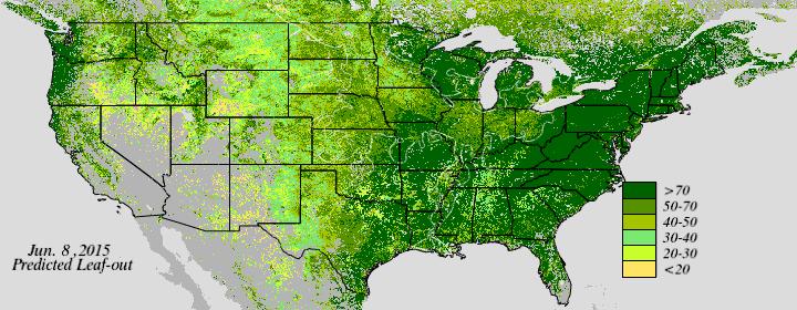 Foliage Phase Prediction - click to enlarge