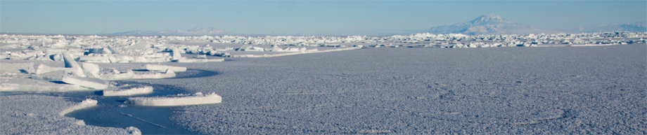 photo: Ice Field Panorama