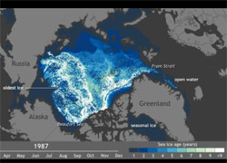 Arctic Sea Ice � Old ice in Arctic vanishingly rare