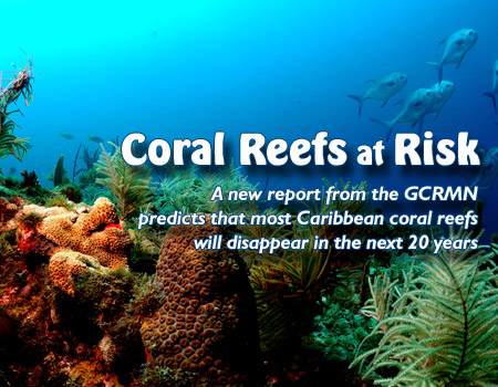 photo: Coral Reefs at Risk
