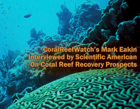 CoralReefWatch's Mark Eakin Interviewed on Coral Bleaching By Scientific American