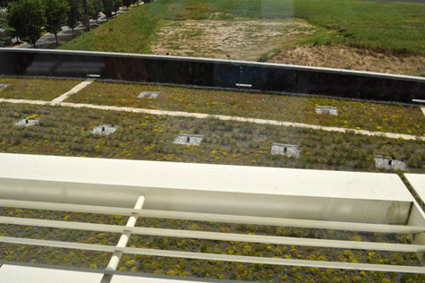 image: green roof plantings at NCWCP