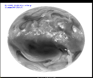 First GOES-14 Full Disk Infrared Image - August 17, 2009 - IR3