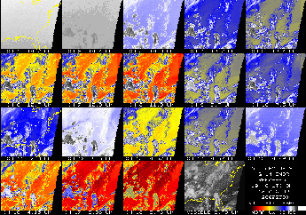 GOES-14 Sounder Channels 1-18 comparison image - August 18, 2009