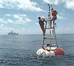 photo of a buoy on the ocean