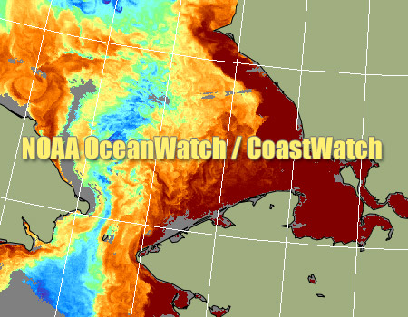 NOAA OceanWatch