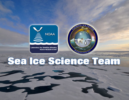 Sea Ice Science Team
